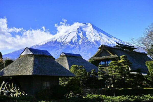 Tokyo: Mt. Fuji & Hakone Tour With English Speaking Driver. - Customer Experience