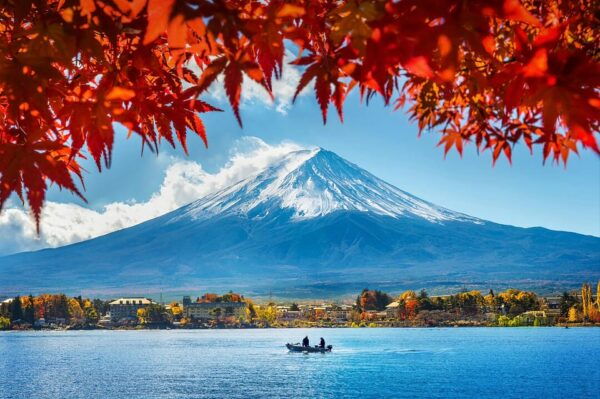 Tokyo: Mt. Fuji & Hakone Tour With English Speaking Driver. - Important Booking Information