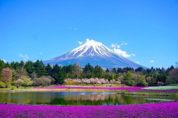 Tokyo: Mt. Fuji & Hakone Tour With English Speaking Driver. - Frequently Asked Questions
