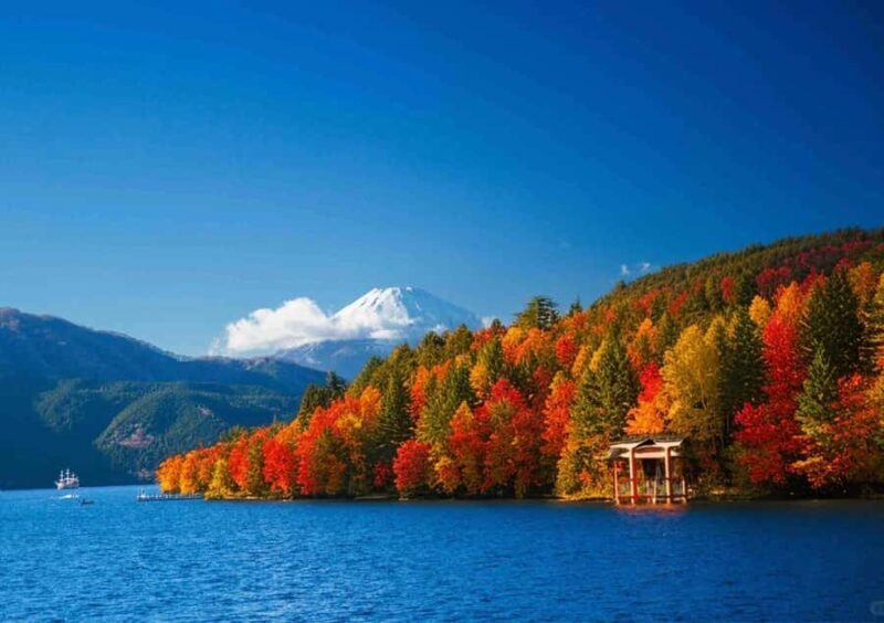 Tokyo Mt. Fuji & Hakone,Lake Ashi FREE Pirate Ship+Cable Car - The Return Journey