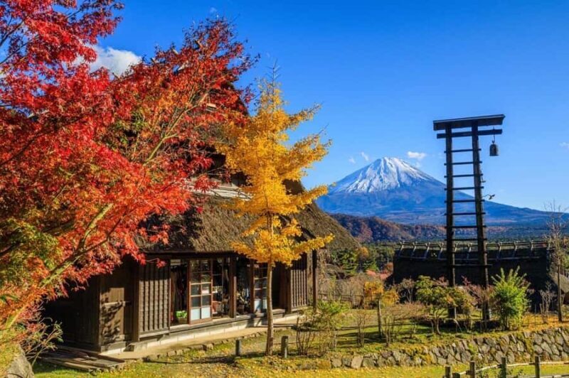 Tokyo: Mt. Fuji Highlights and Whisky Museum Private Tour - Oishi Park: Nature’s Masterpiece