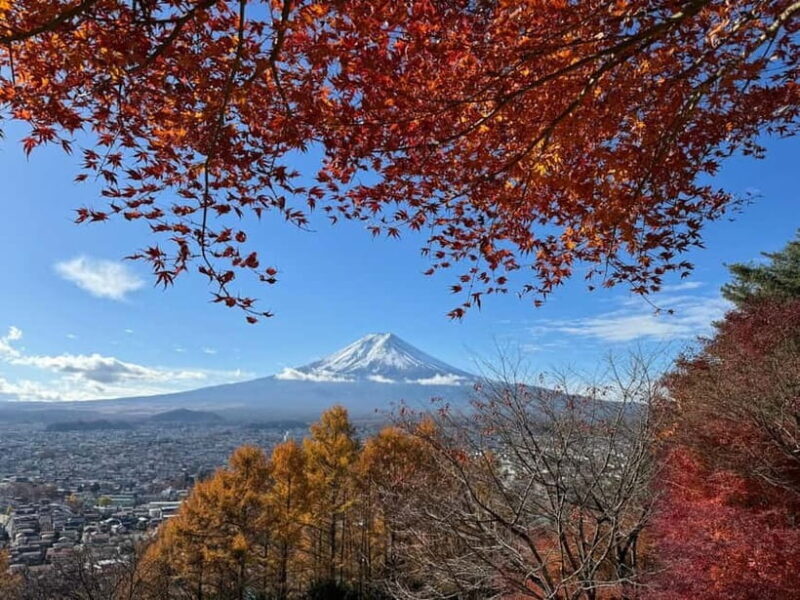 Tokyo: Mt. Fuji Highlights Tour with Lake Kawaguchi Cruise - Good To Know