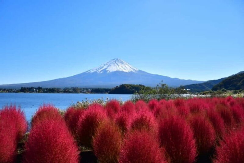 Tokyo: Mt. Fuji Highlights Tour with Lake Kawaguchi Cruise - Who Will Love This Tour?