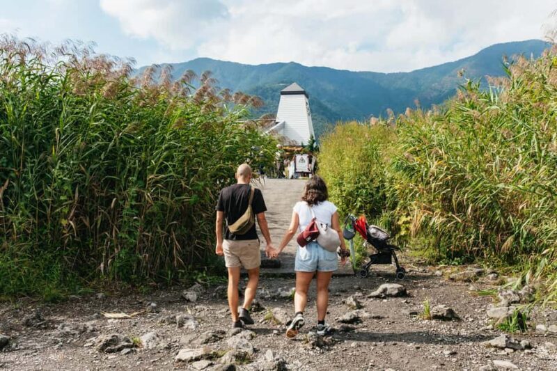 Tokyo: Mt. Fuji, Kamakura, Big Buddha, & Lake Ashi Day Trip - Who Is This Tour Best For?