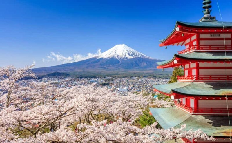 Tokyo: Mt. Fuji, Kawagoe, & Hikawa Shrine Day Trip - Good To Know