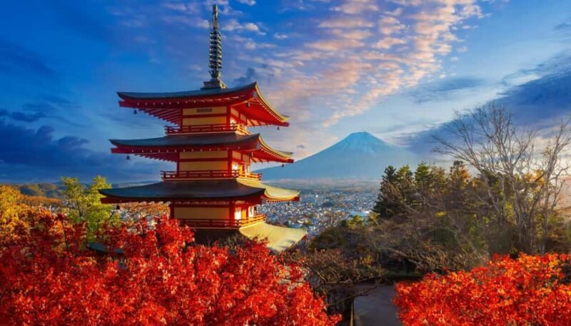 Tokyo: Mt. Fuji, Kawagoe, & Hikawa Shrine Day Trip - Good To Know