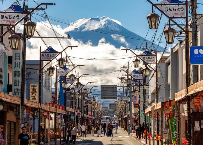 Tokyo: Mt. Fuji, Kawagoe, & Hikawa Shrine Day Trip - Who Should Take This Tour?