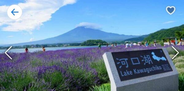 Tokyo: Mt. Fuji, Kawaguchi Lake, & Oshino Hakkai Day Trip - Accessibility Features