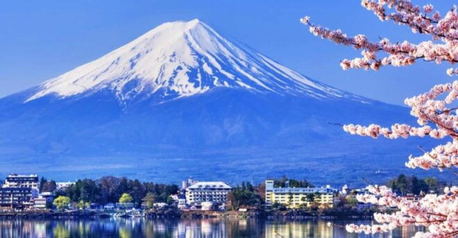 Tokyo: Mt.Fuji Kawaguchiko, Oshino Hakkai,Matcha-Making Tour - Key Highlights of the Tour
