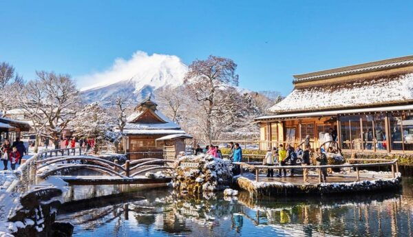 Tokyo: Mt.Fuji Kawaguchiko, Oshino Hakkai,Matcha-Making Tour - Inclusions for Participants