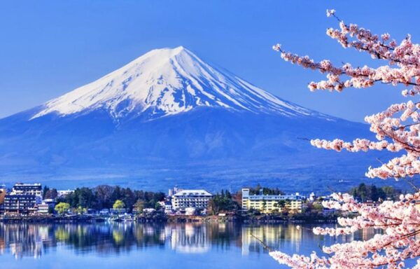 Tokyo: Mt.Fuji Kawaguchiko, Oshino Hakkai,Matcha-Making Tour - Customer Reviews and Feedback