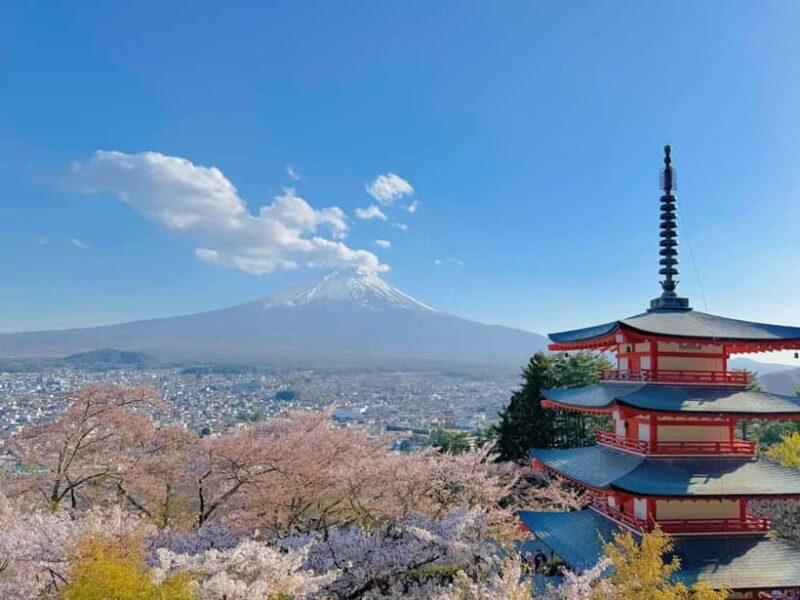 Tokyo: Mt. Fuji & Lake Kawaguchi Instagram Full Day Trip - Authentic Insights from Reviews