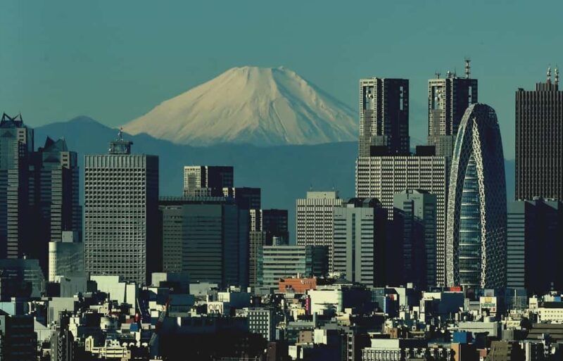 Tokyo: Mt. Fuji & Lake Kawaguchi Private Tour with Transfer - Who Should Consider This Tour?