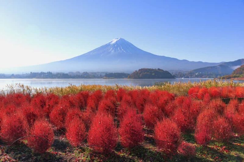 Tokyo: Mt. Fuji & Lake Kawaguchi Small Group Tour - 6 Spots - Good To Know