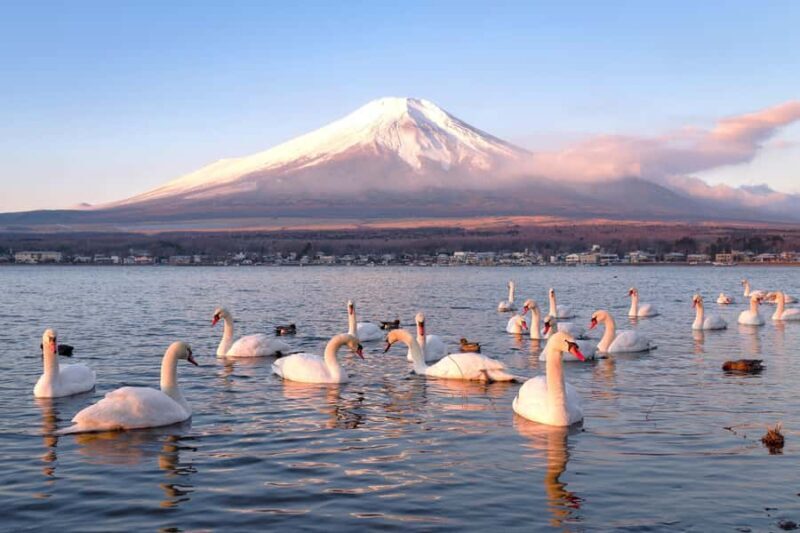 Tokyo: Mt. Fuji & Lake Kawaguchi Small Group Tour - 6 Spots - Street View at Hikawa Clock Shop