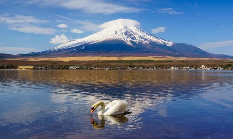 Tokyo: Mt. Fuji & Lake Kawaguchi Small Group Tour - 6 Spots - Final Stop: Lake Kawaguchi Oishi Park