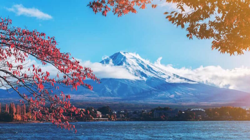 Tokyo: Mt. Fuji & Lake Kawaguchi Small Group Tour - 6 Spots - Frequently Asked Questions