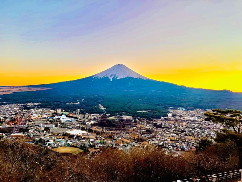 Tokyo Mt. Fuji & Lake Kawaguchiko Private Full-Day Tour - A long day made easier by a private car