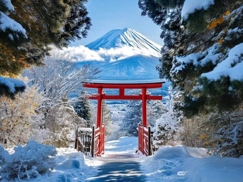 Tokyo: Mt Fuji Lake Kawaguchiko Tour & Arakuyama Sengen Park - Who Is This Tour Best For?