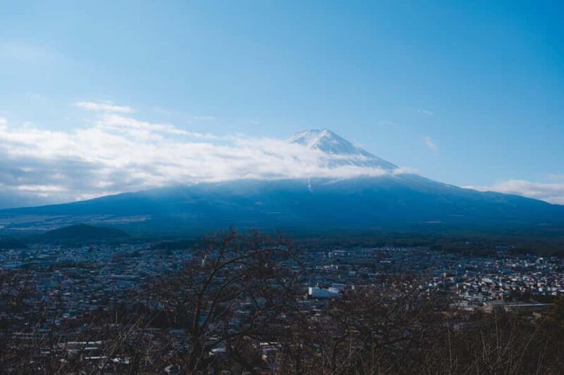 Tokyo: Mt. Fuji & Lake Kawaguchiko Winter Fireworks Tour - Who Is This Tour Best For?