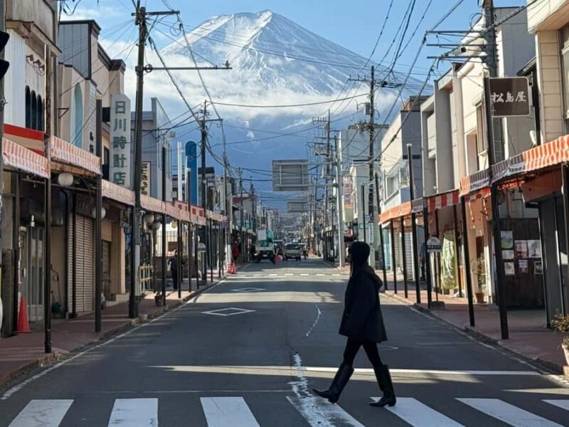 Tokyo: Mt. Fuji & Lake Kawaguchiko Winter Fireworks Tour - Final Thoughts