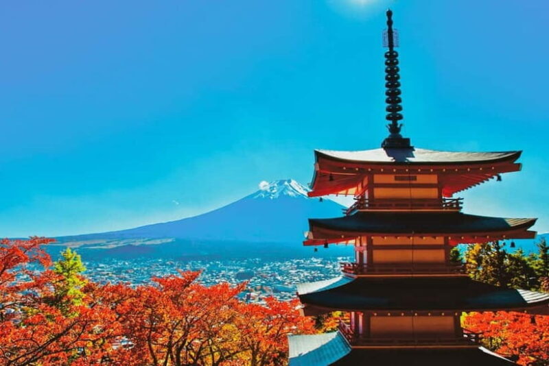 Tokyo: Mt. Fuji, LakeKawaguchiko, Pagoda, & Oishi Park Tour - Transportation, Timing, and Group Dynamics