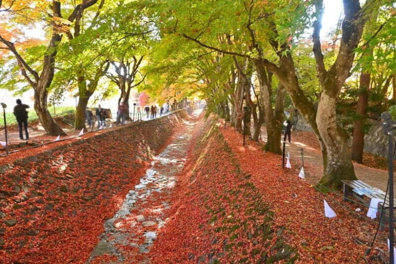 Tokyo: Mt. Fuji, LakeKawaguchiko, Pagoda, & Oishi Park Tour - The Food and Cultural Experience