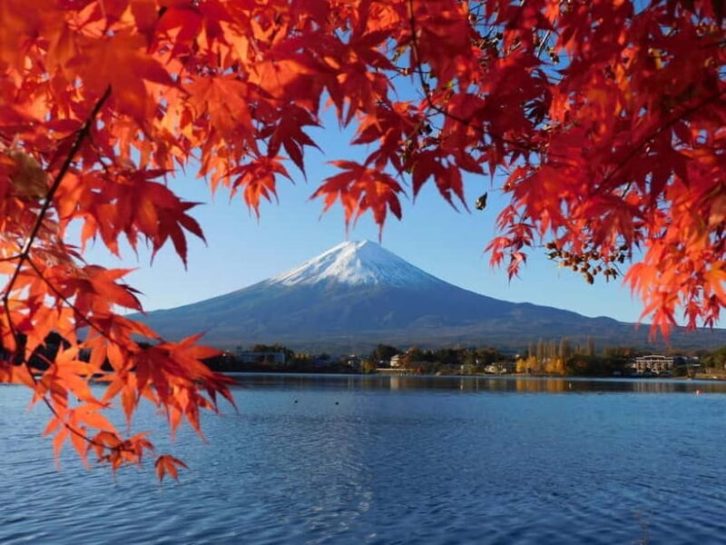 Tokyo: Mt. Fuji, LakeKawaguchiko, Pagoda, & Oishi Park Tour - Good To Know