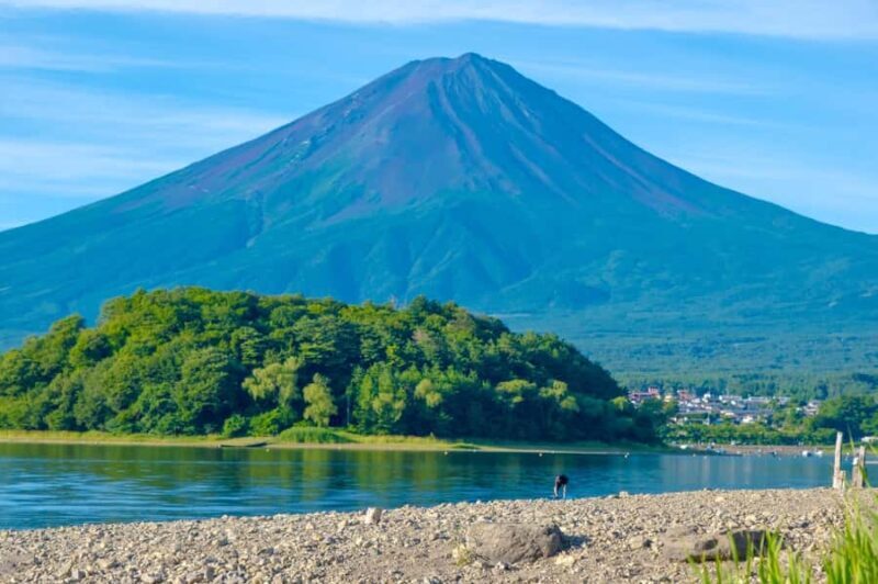 Tokyo: Mt. Fuji, Makaino Farm, and Lake Kawaguchi Tour - Who Will Love This Tour?