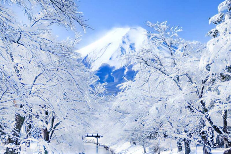 Tokyo: Mt Fuji & Oishi Park &Lake Kawaguchi & OshincHakkai - Who Will Love This Tour?