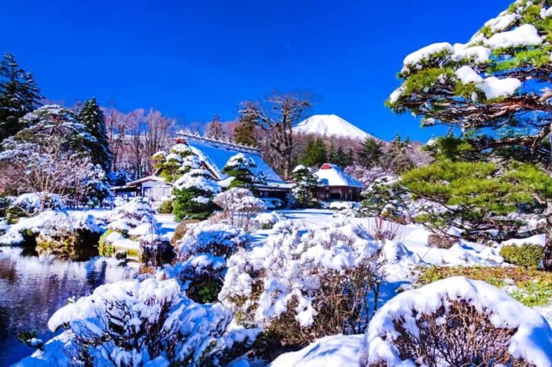 Tokyo: Mt Fuji & Oishi Park &Lake Kawaguchi & OshincHakkai - FAQs