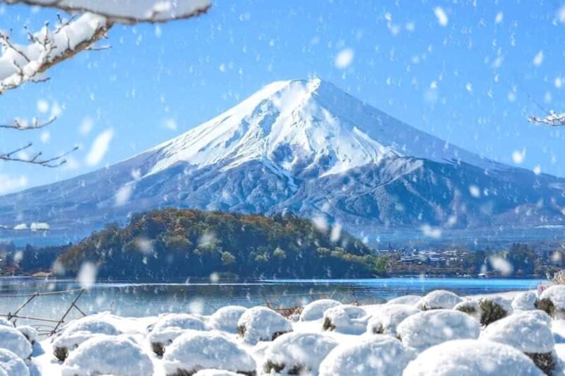 Tokyo: Mt Fuji & Oishi Park &Lake Kawaguchi & OshincHakkai - Final Thoughts