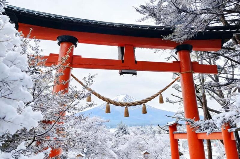 Tokyo: Mt Fuji & Oishi Park &Lake Kawaguchi & OshincHakkai - A Detailed Look at the Tour Experience