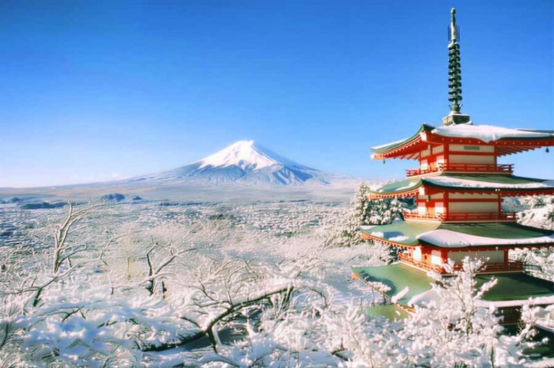 Tokyo: Mt Fuji & Oishi Park &Lake Kawaguchi & OshincHakkai - Final Thoughts: Who Will Benefit Most?