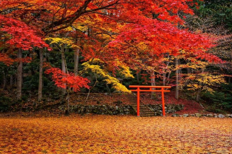 Tokyo: Mt Fuji One-Day Private & Customizable Tour - What to Expect from the Mt. Fuji One-Day Tour