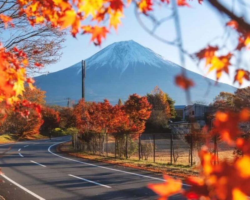 Tokyo: Mt Fuji One-Day Private & Customizable Tour - Transportation, Timing, and Group Size