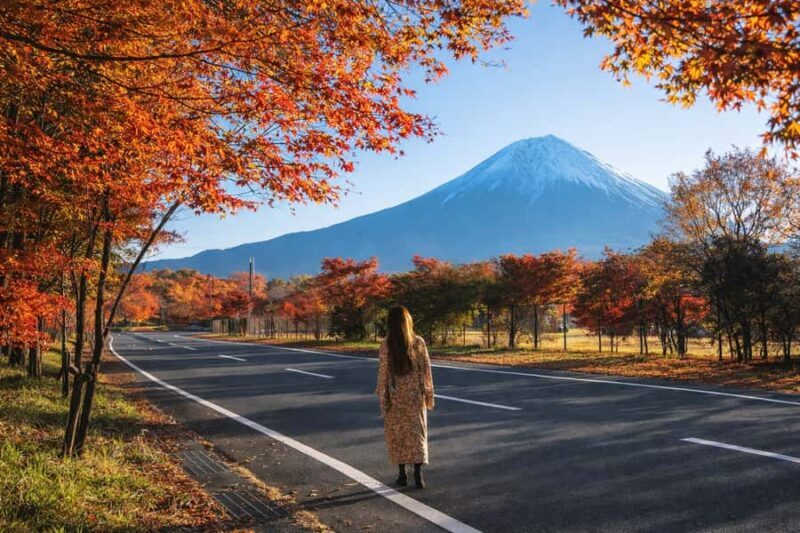 Tokyo: Mt Fuji One-Day Private & Customizable Tour - Who Is This Tour Best Suited For?