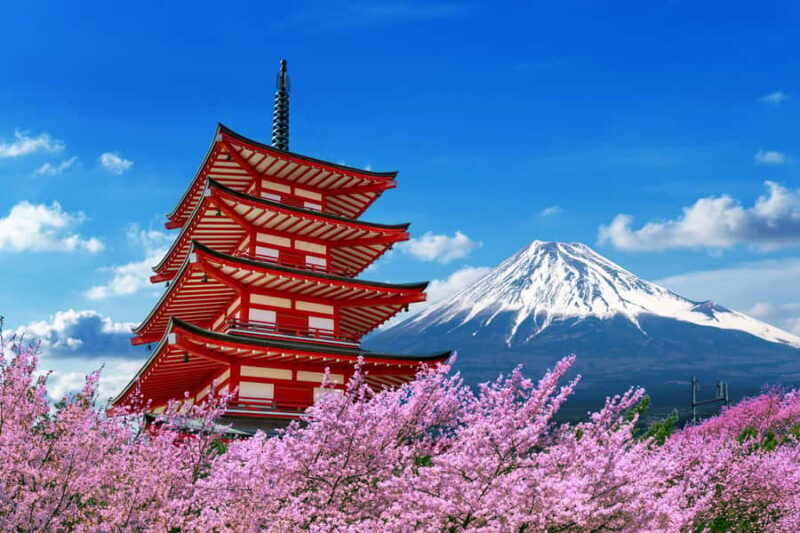 Tokyo: Mt Fuji One-Day Private Tour of top sights - Good To Know