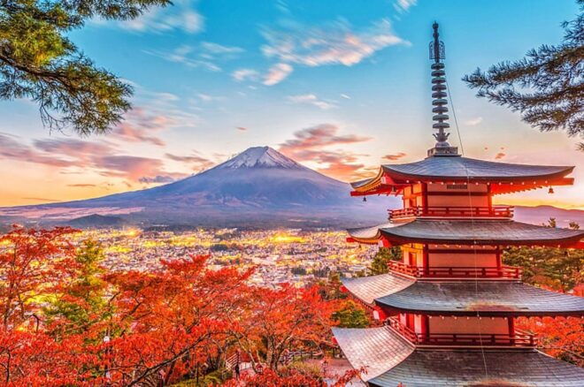 Tokyo: Mt. Fuji, Oshino Hakkai, Kawaguchi Lake 1-Day Trip - Important Trip Information