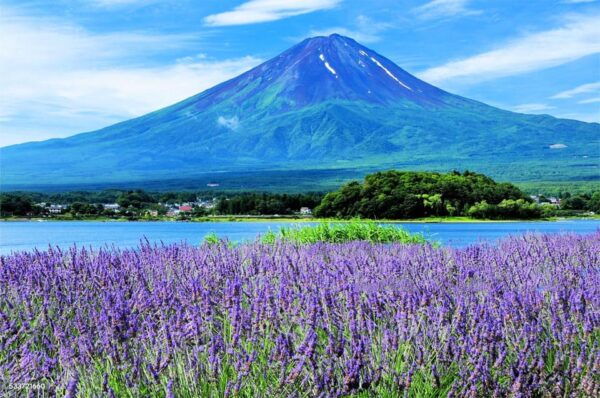 Tokyo: Mt. Fuji, Oshino Hakkai, Kawaguchi Lake 1-Day Trip - Best Photo Spots