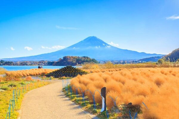 Tokyo: Mt. Fuji, Oshino Hakkai, Kawaguchi Lake 1-Day Trip - Booking and Cancellation Policy