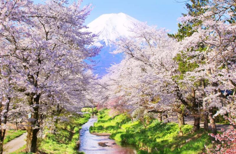 Tokyo: Mt Fuji & Oshino Hakkai & Lake Kawaguchi & Oishi Park - The Experience Through Reviewers’ Eyes