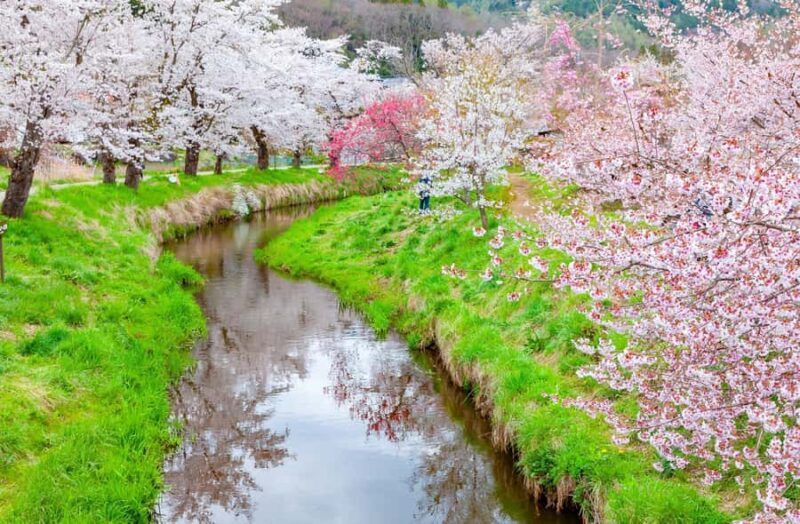 Tokyo: Mt Fuji & Oshino Hakkai & Lake Kawaguchi & Oishi Park - Who Should Consider This Tour?