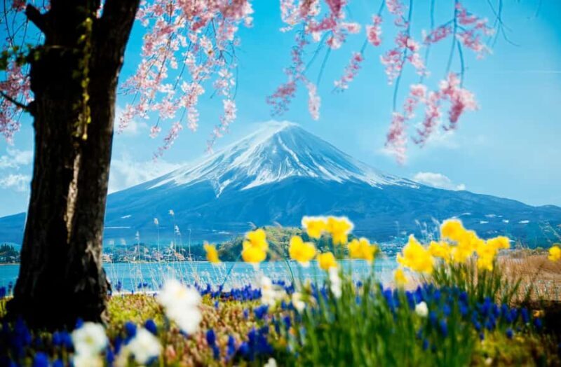 Tokyo: Mt Fuji & Oshino Hakkai & Lake Kawaguchi & Oishi Park - The Sum Up