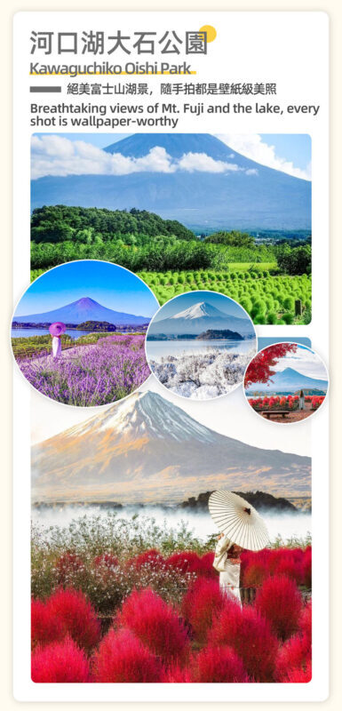 Tokyo Mt. Fuji, Pagoda & Oshino Hakkai Day Guided Tour - Who should book this Fuji day trip?