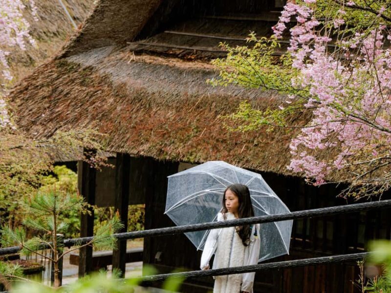 Tokyo: Mt. Fuji Photo Spots, Pink Moss & Cherry Blossom Tour - Final Thoughts