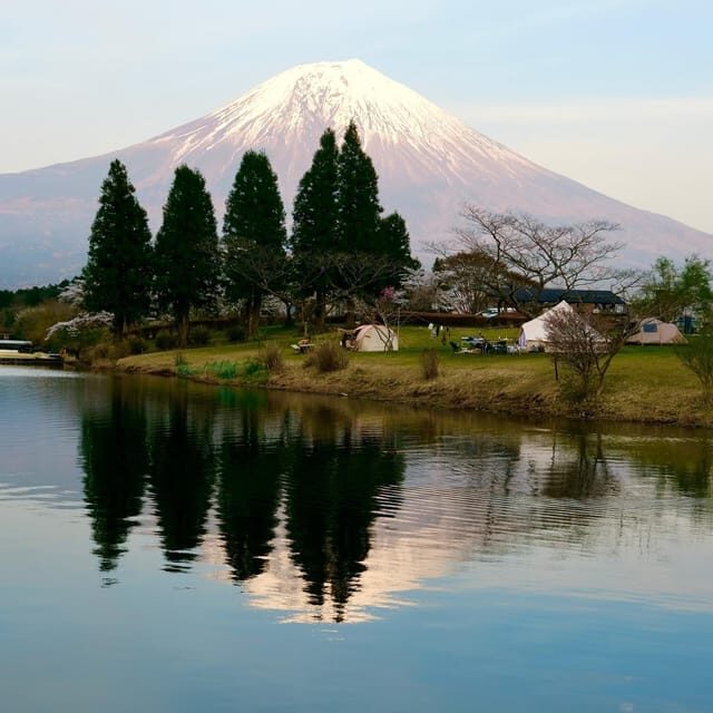 Tokyo: Mt Fuji Private Day Tour with English-speaking Driver - The Experience of a Private Driver