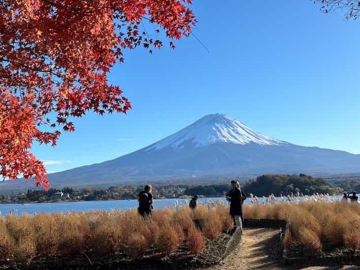 Tokyo: Mt.Fuji Private day Trip with English Speaking Driver - Considerations & Tips
