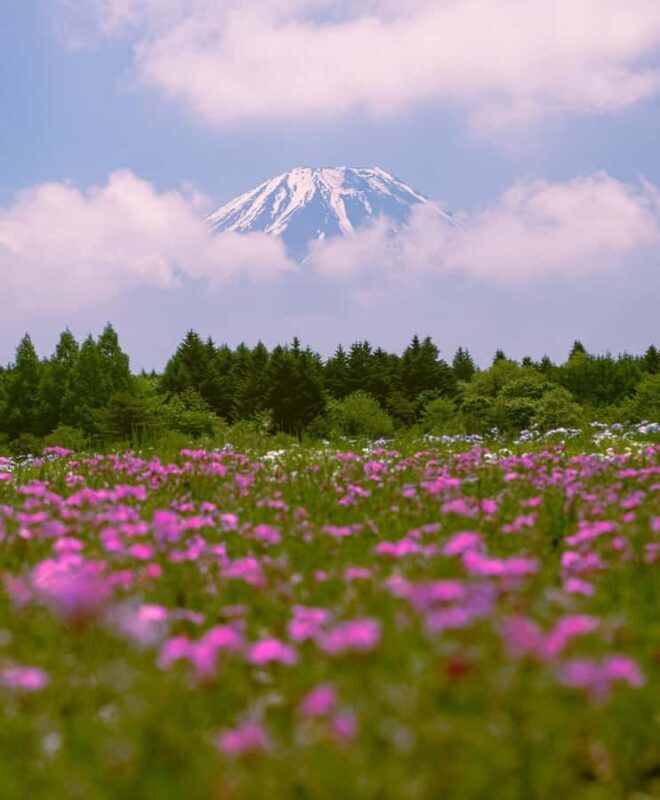 Tokyo: Mt. Fuji Private Fully Customised Tour In Prado - FAQs