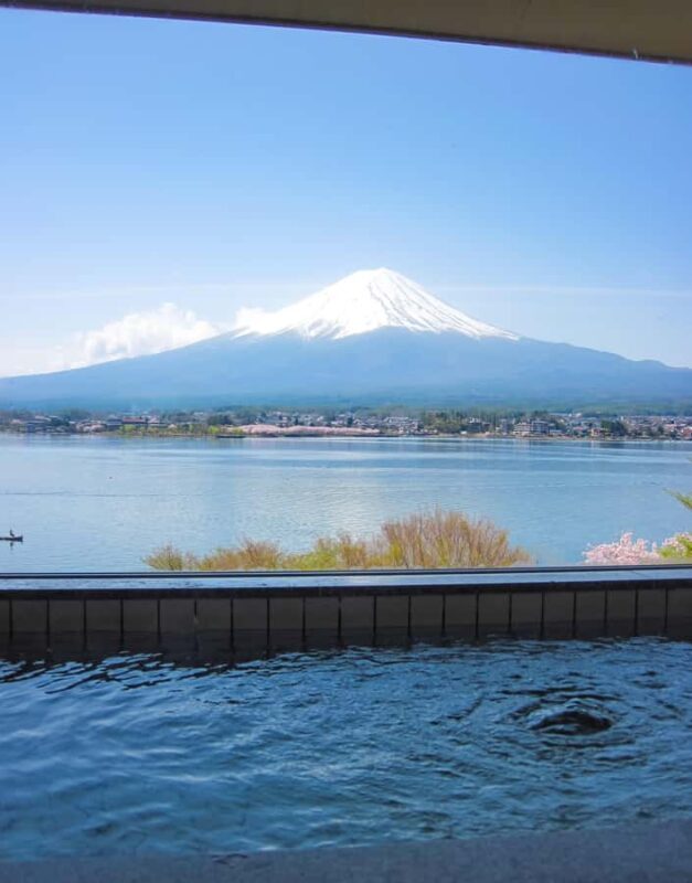 Tokyo: Mt. Fuji Private Fully Customised Tour In Prado - Final Thoughts
